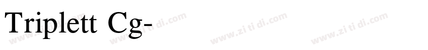 Triplett Cg字体转换